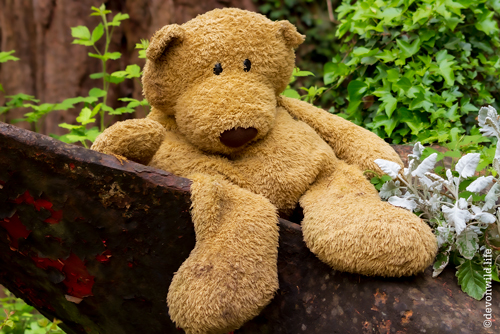 Sad Ted