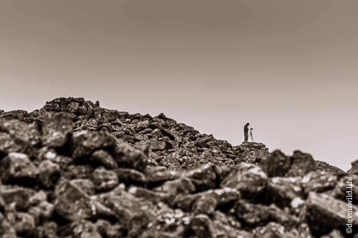 The Photographer
