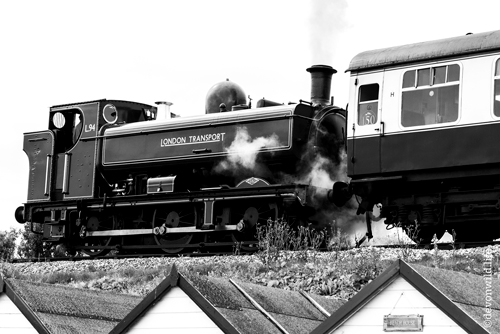 Full Steam Reverse