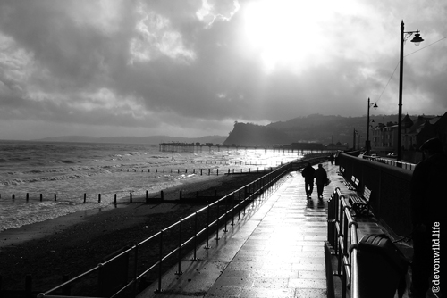 Sun On A Winters Day