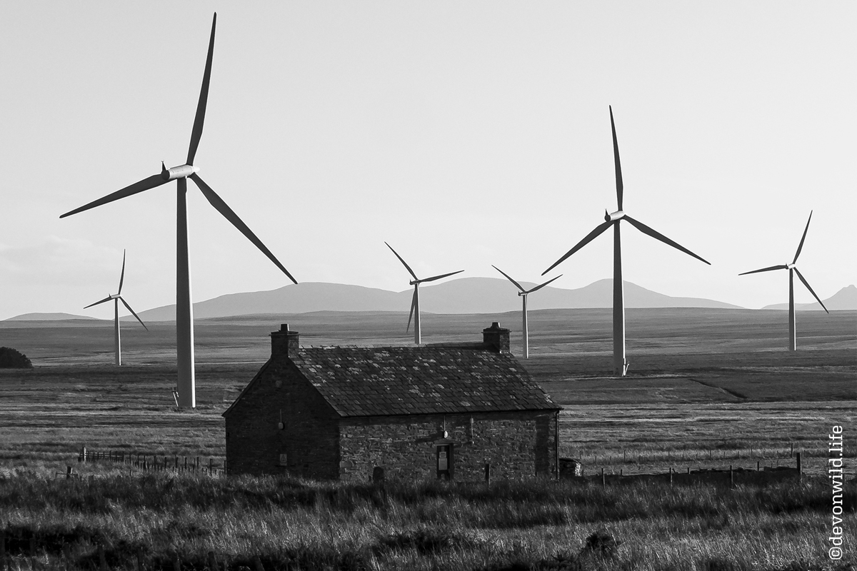 Winds Of Change