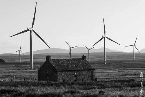 Winds Of Change