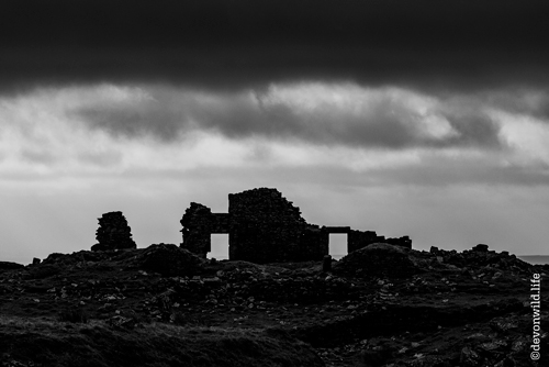 Desolate