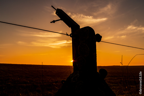 Sunrise Silhouette
