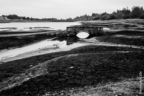 The Bridge