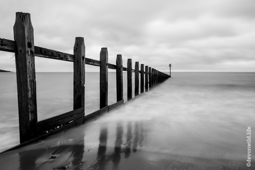 Stand & Sea