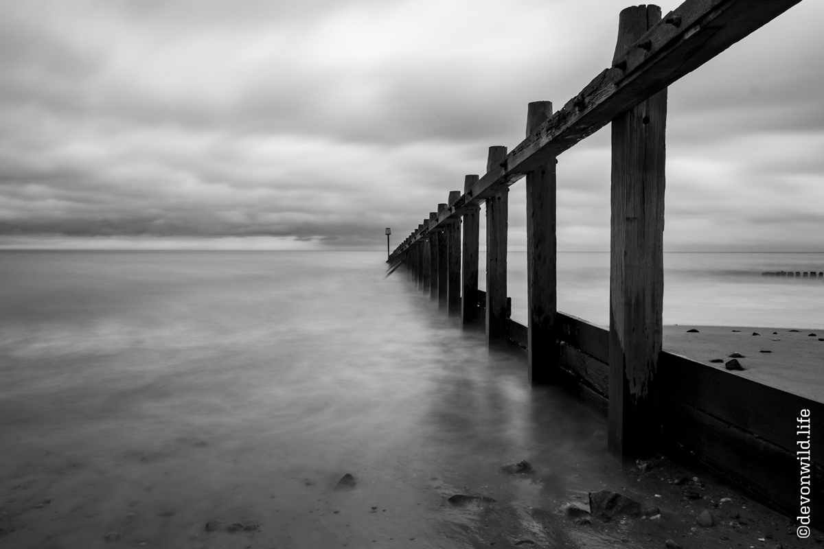 Turning Tide