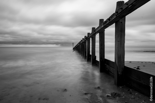 Turning Tide