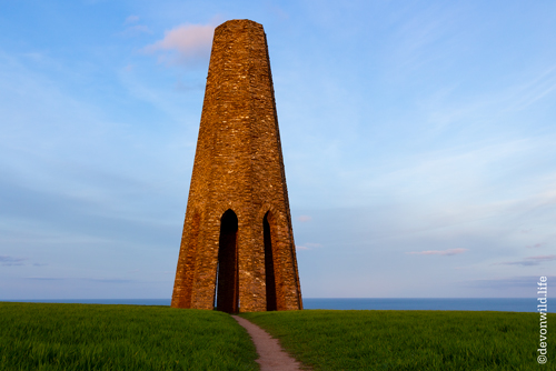 The Daymarker