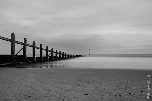 Shore Is Grey