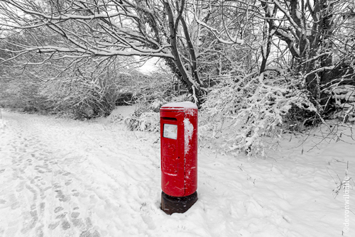 Snow Post Today