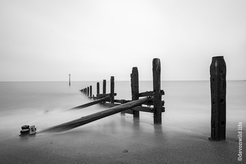 Misty Waters