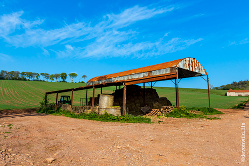Little Red Barn