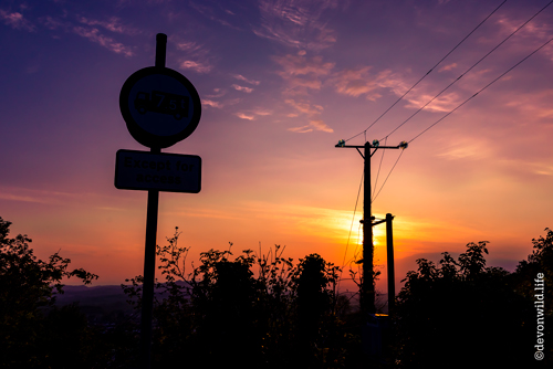 Electric Sunset