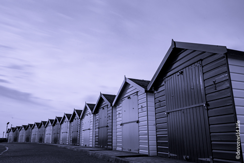15 Sheds Of Grey
