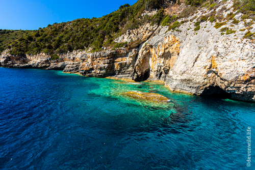 Copper Shoreline