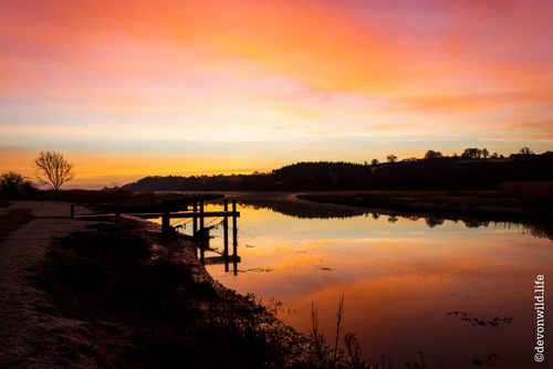 Calming Colours