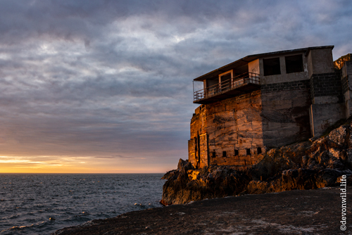 Watch Tower