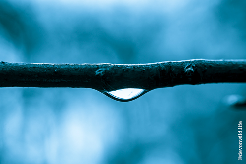 Suspended