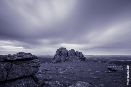 Tor De Force