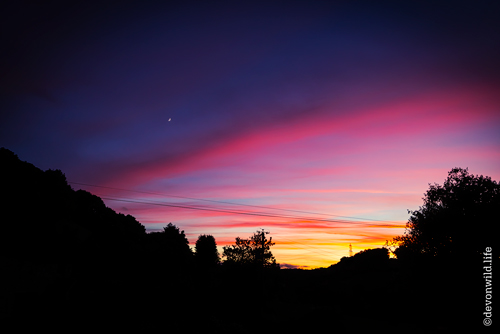 Shepherds Delight