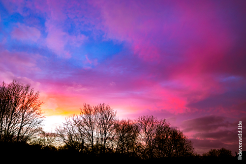 Spirit In The Sky