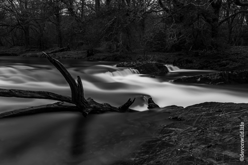 The River Runs Wild