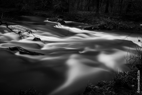 River Of Dreams