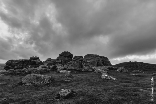 Granite Bastion