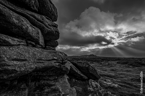 Outcrops & Sunbeams