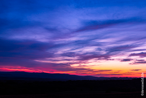 Radiant Sunset