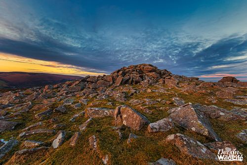 Granite Blush