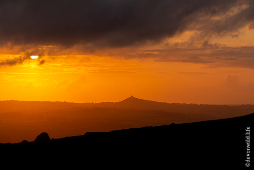 Orange Sunburst